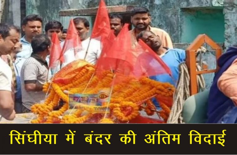 बिहार :समस्तीपुर के सिंघिया में  बंदर की मौत पर रोया पूरा गांव , हिन्दू रीती रिवाज के तहत ग्रामीणों ने किया अंतिम संस्कार